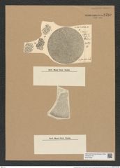 Coscinodiscus floridulus A. Schm. (de-Toni-Nr.: Genus 202, Species 5046) Zeichnungen Sammlung Grunow Nr. 8795 (NHMW-BOT-W0378398)